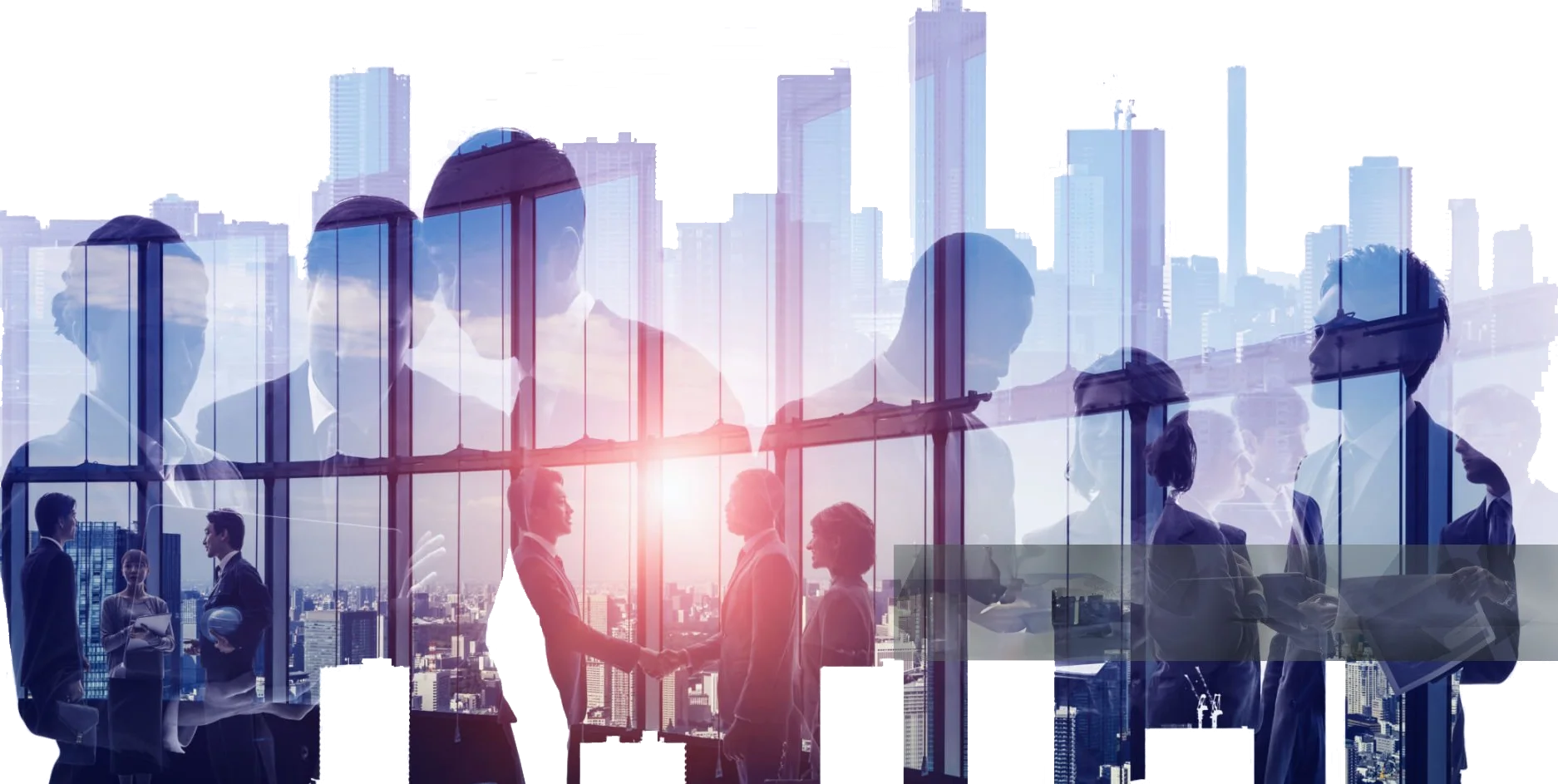 Equipo profesional trabajando en una oficina moderna